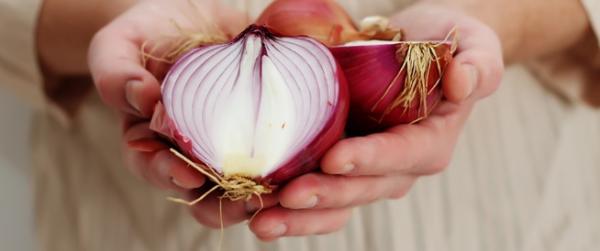 Eating onions reduces the risk of bowel cancer