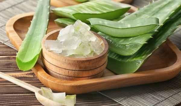 Aloe vera gel and its healing benefits